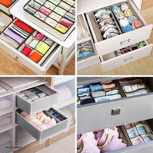 Faltbarer Kleiderschrank Unterwäsche Organizer (4 Stk im Set)